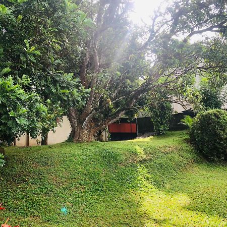 47 Alfred House - Free Pickup From Kandy City Kültér fotó