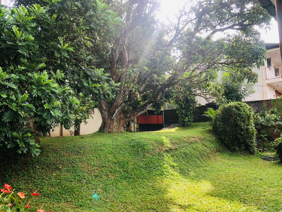 47 Alfred House - Free Pickup From Kandy City Kültér fotó